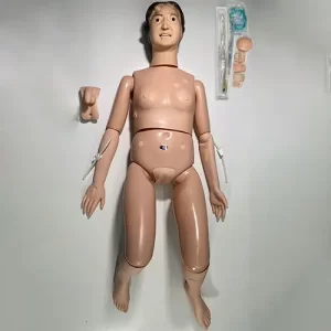COL 1401-F - Manequim Básico Adulto Bissexual P/ Cuidados em Enfermagem - Feminino