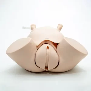 COL 1402-A - Simulador Parto Normal com Placenta, Barriga Removível e Sistema de Manivela