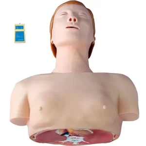 COL 1404 - Manequim RCP Meio Torso c/Indicador