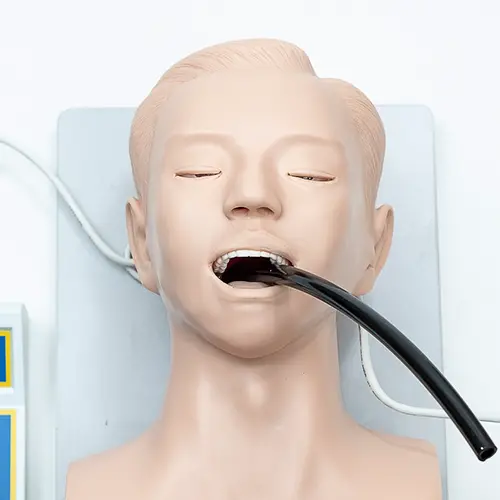 COL 1407 - Modelo para Intubação Adulto c/indicador - Image 2