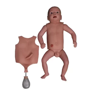 COL 1424 - Manequim Bissexual Bebê c/órgãos internos