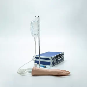 COL 1441 - Mão para Treino de Injeções Intravenosa e Punção Arterial com Suporte