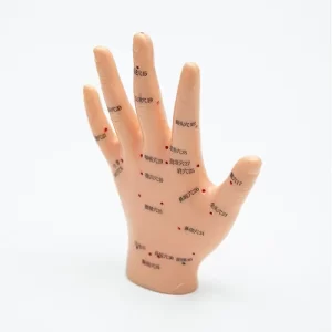 COL 1509 - Mão p/ Acupuntura de 13cm
