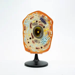 COL 1902 - Célula Animal