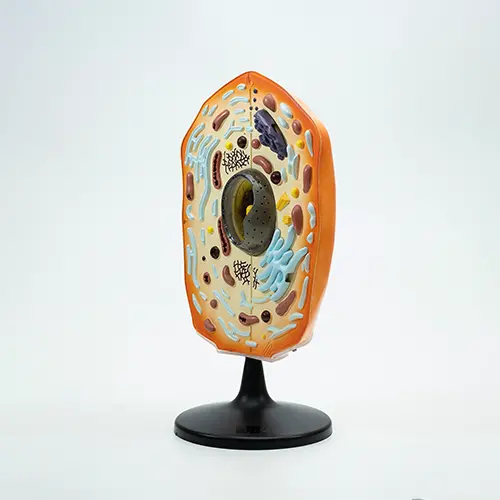 COL 1902 - Célula Animal - Image 4